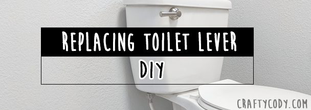 DIY: Replacing your toilet lever
