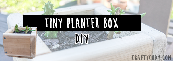 DIY: Tiny planter box